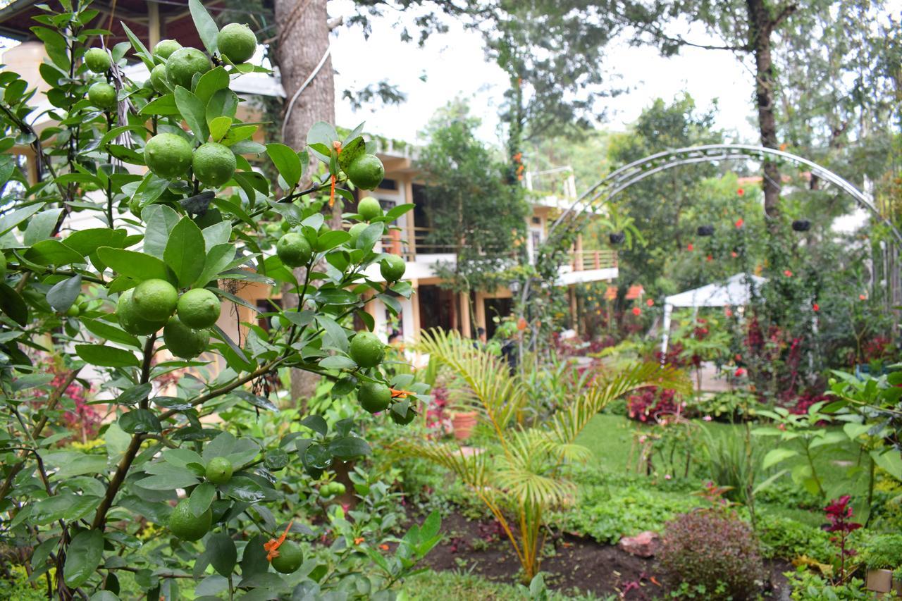 Santiago Atitlán Pescador Hotel Ph المظهر الخارجي الصورة